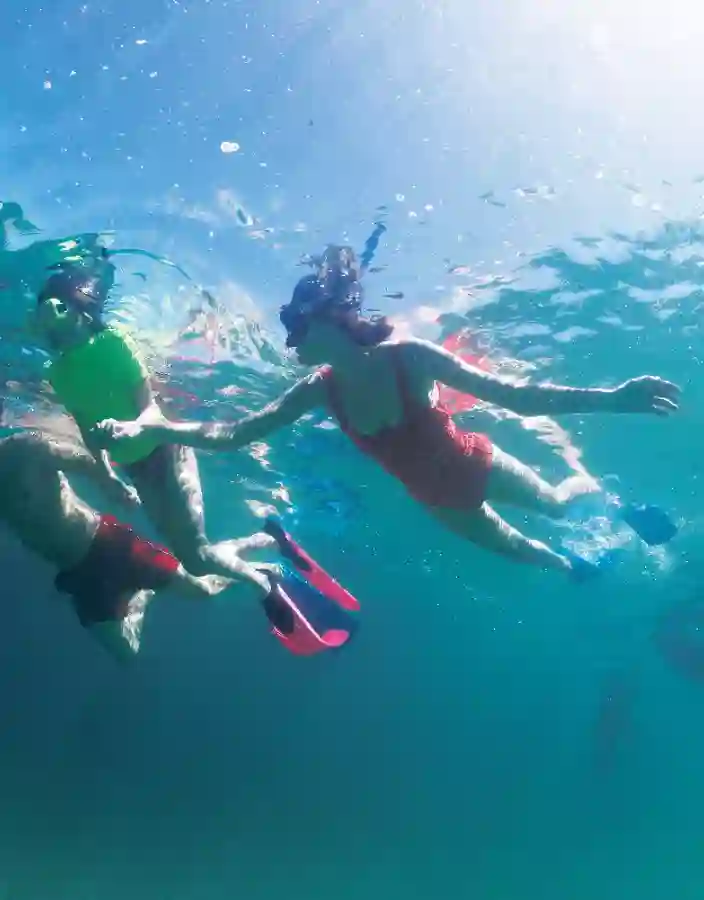 Familj som snorklar hand i hand i Mexiko.