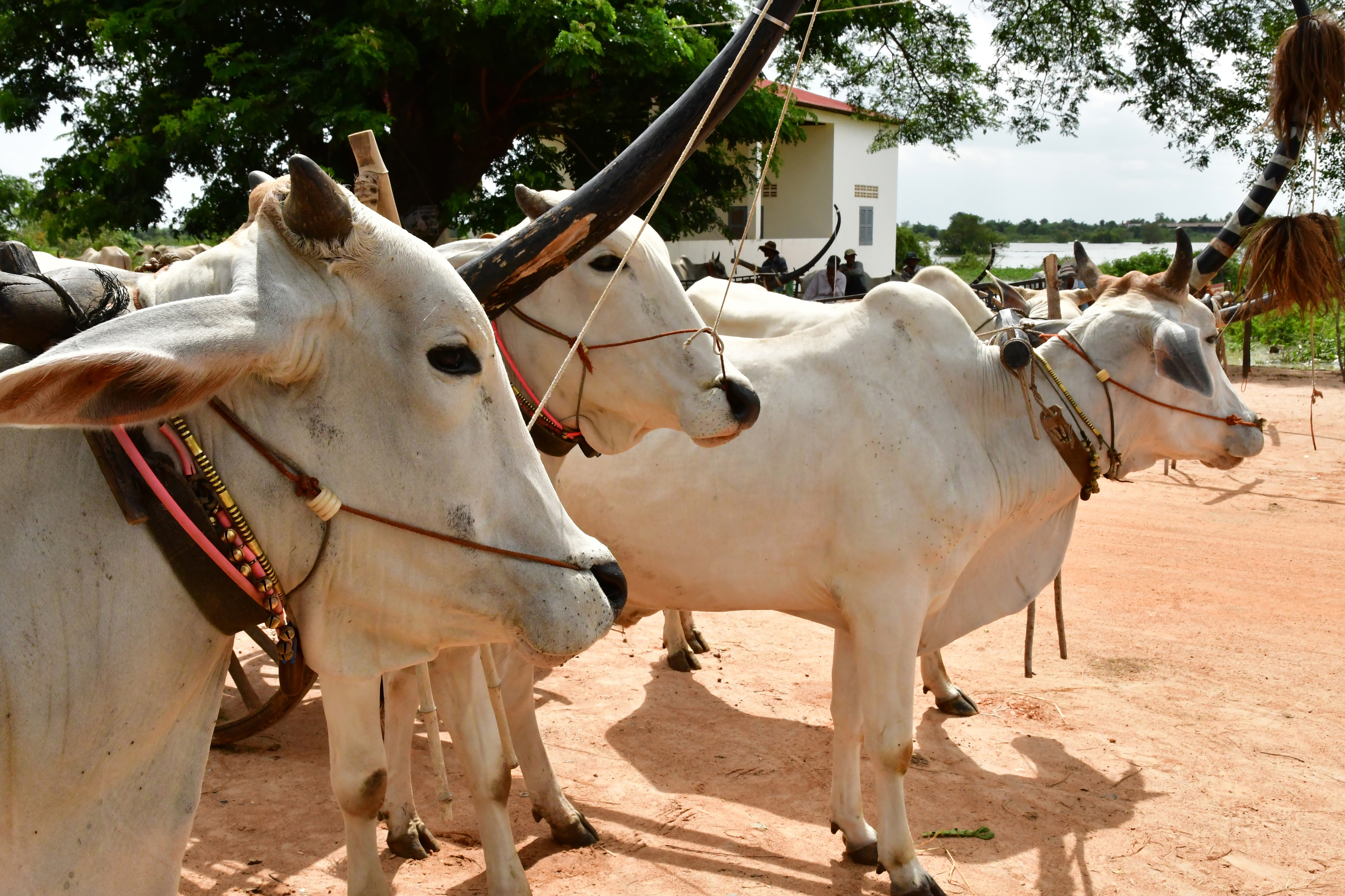 Kampong Tralach, Cambodia