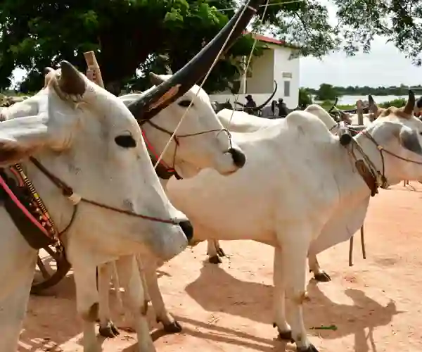 Kampong Tralach, Cambodia