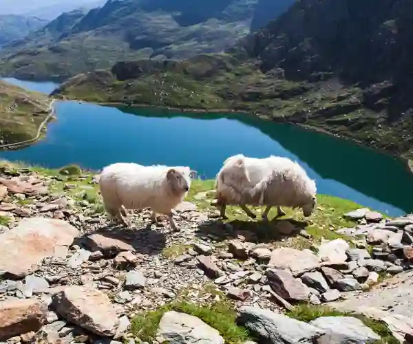 Snowdonia National Park