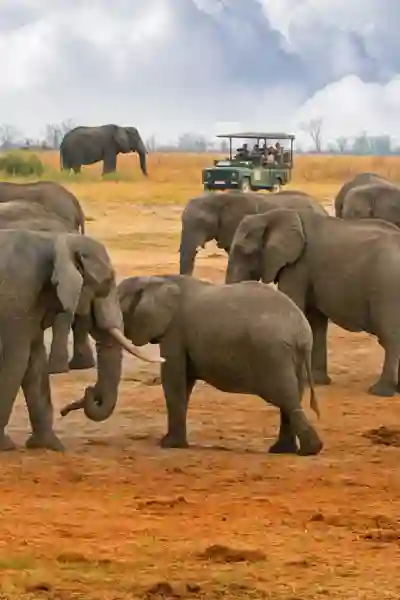 Hwange Nationalpark