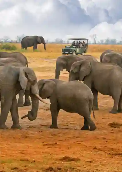 Hwange Nationalpark