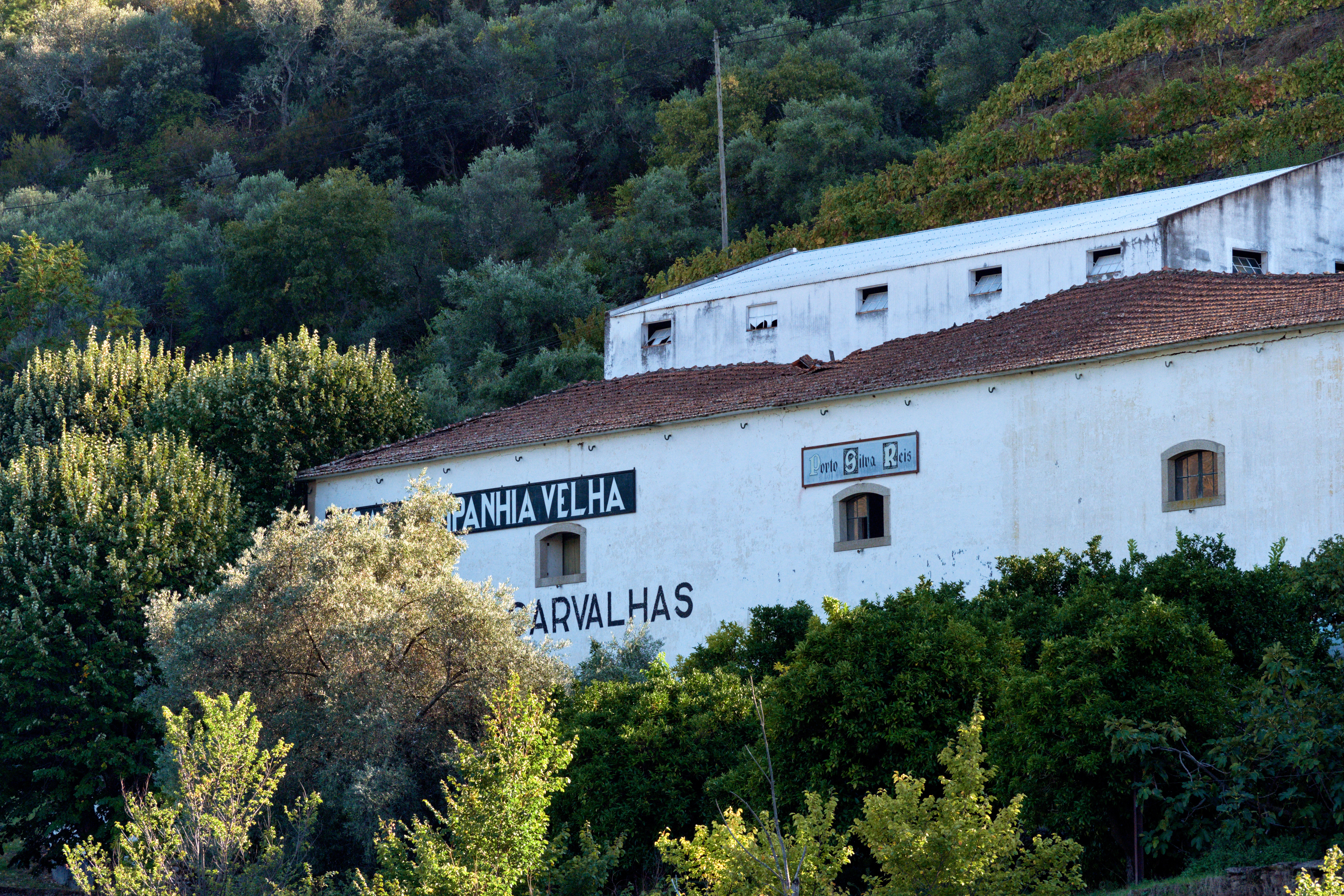 Real Companhia Velha 