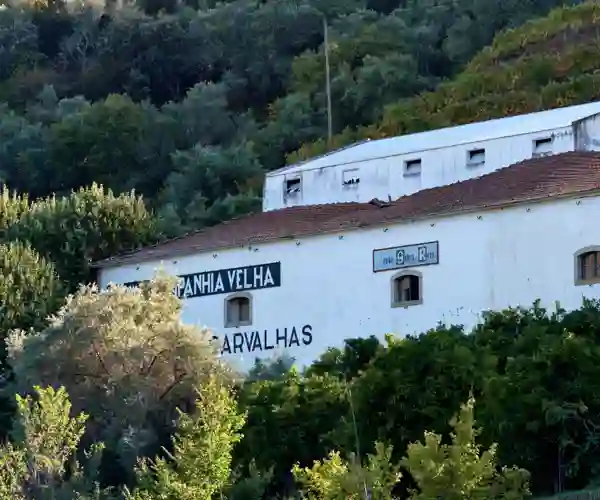 Real Companhia Velha