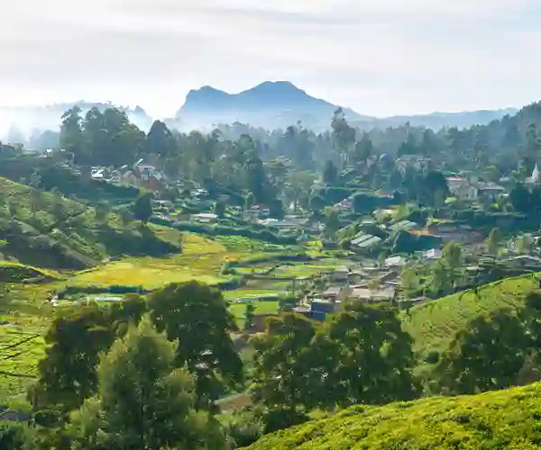Nuwara Eliya