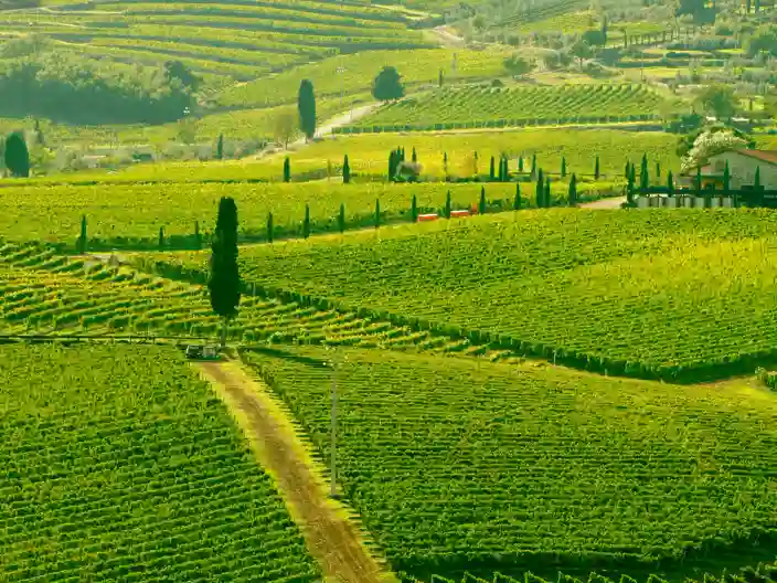 Toscana