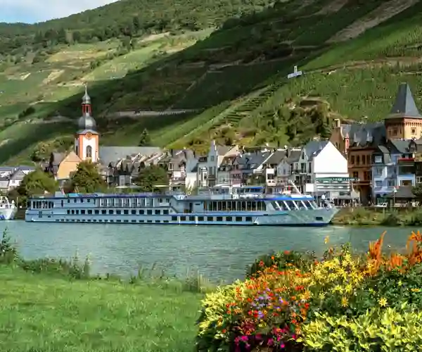 Zell