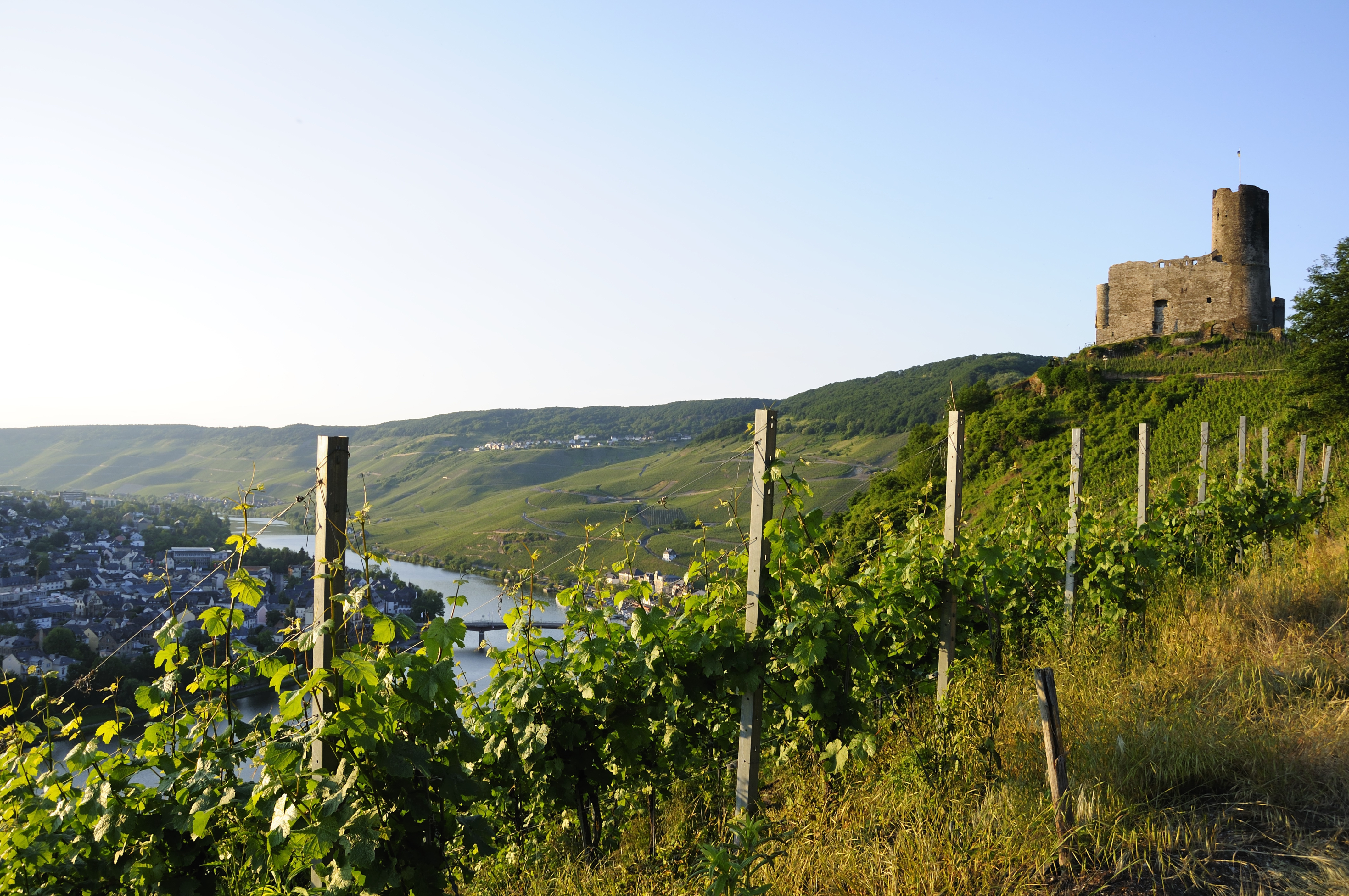 Vinmarker ved Bernkastel
