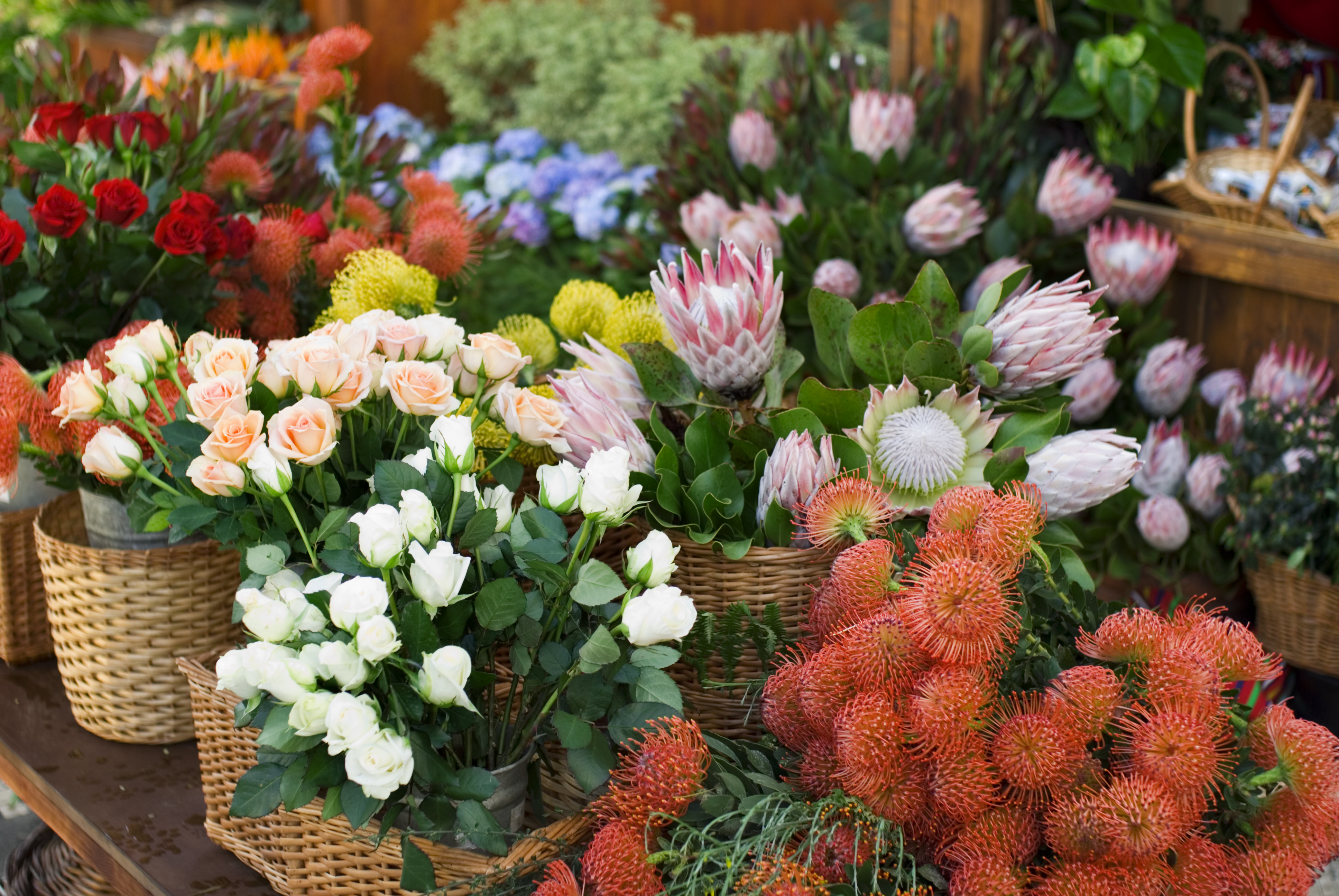 Funchals farverige blomstermarked