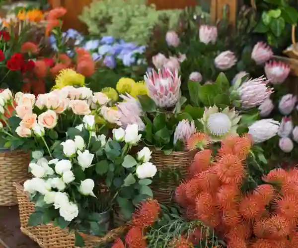 Funchals farverige blomstermarked