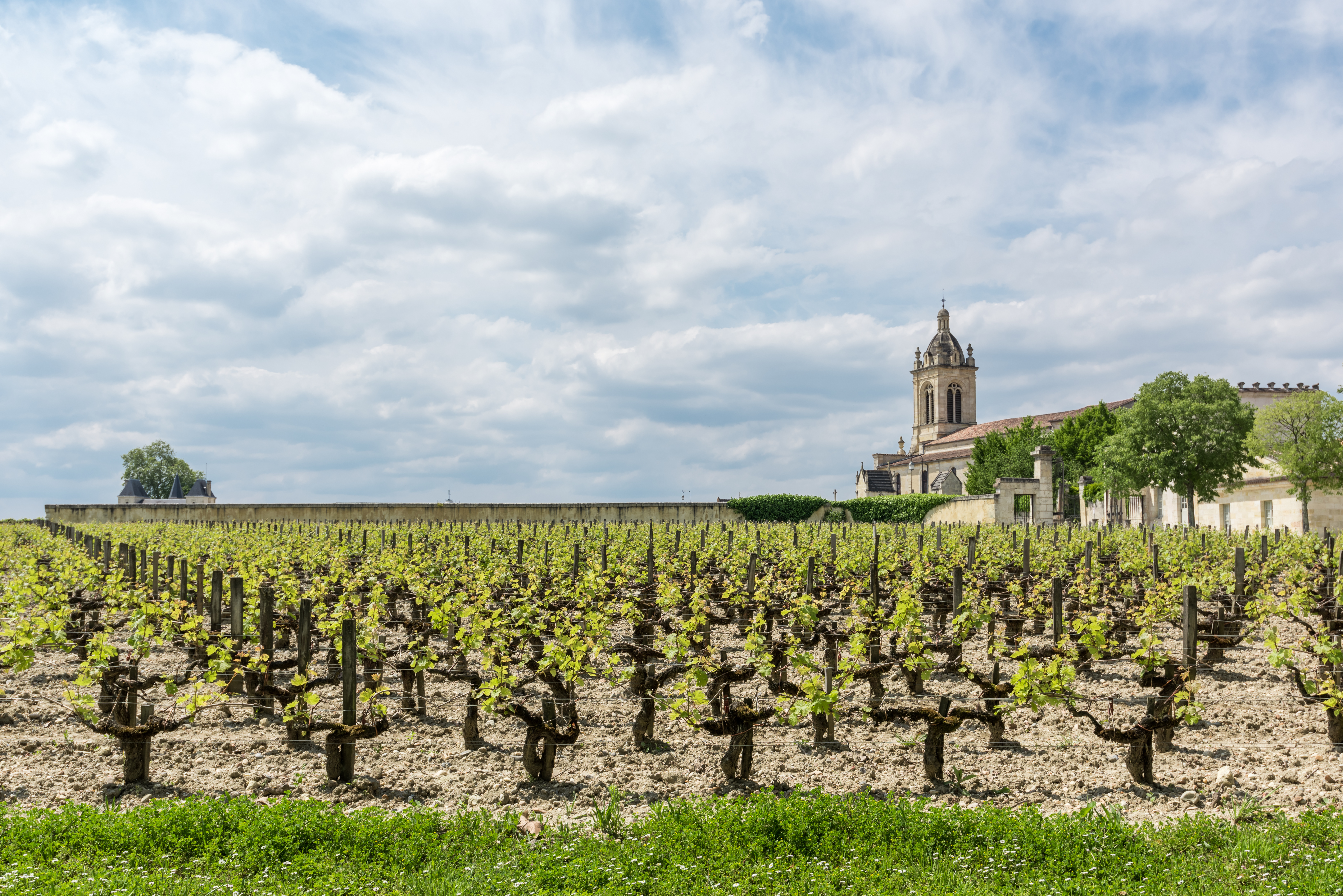 Medoc