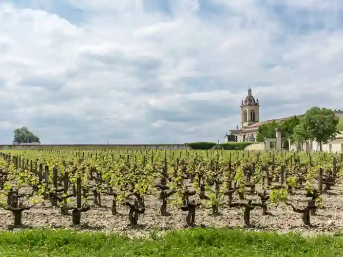 Medoc