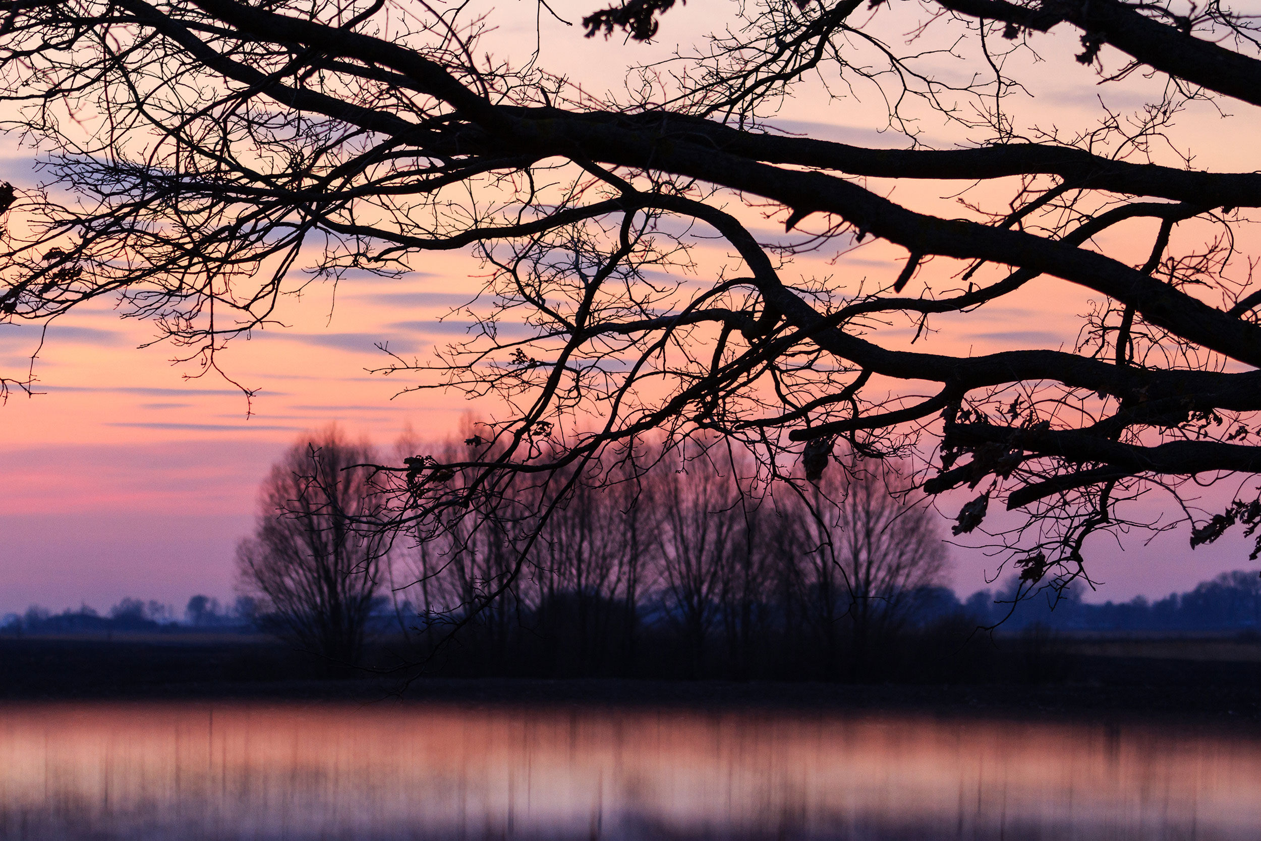 Solnedgang