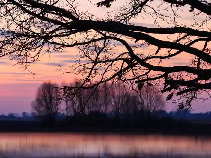 Solnedgang