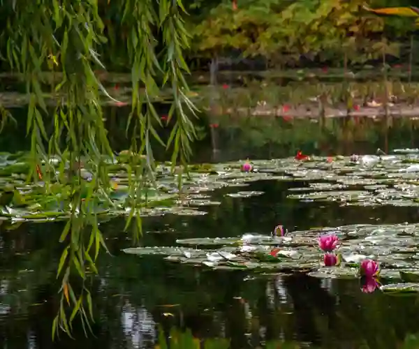 Claude Monets hage i Giverny