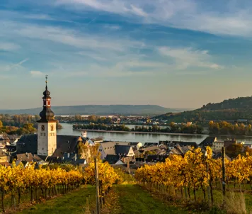 Rüdesheim