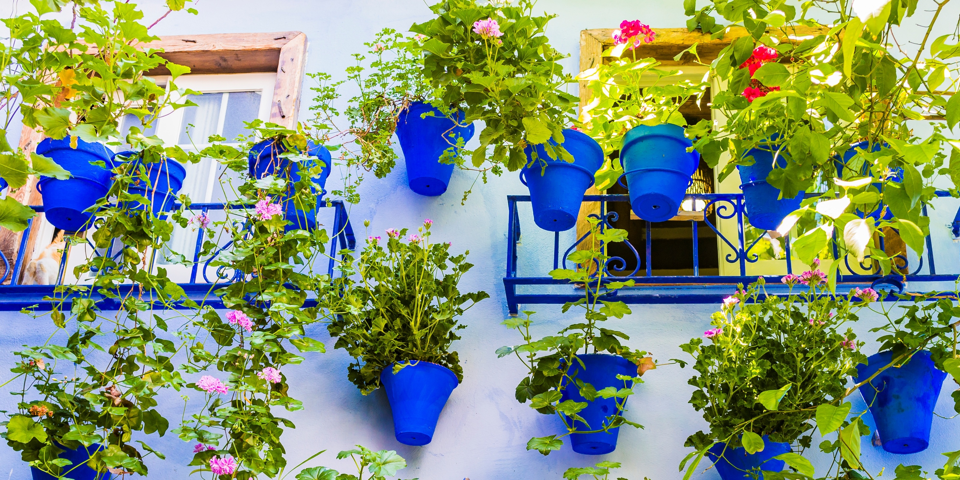 Fiesta de los Patios 