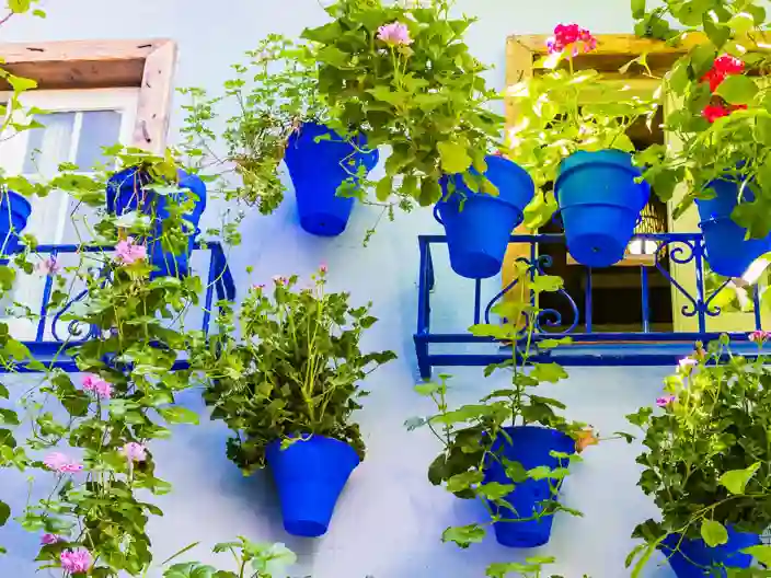 Fiesta de los Patios