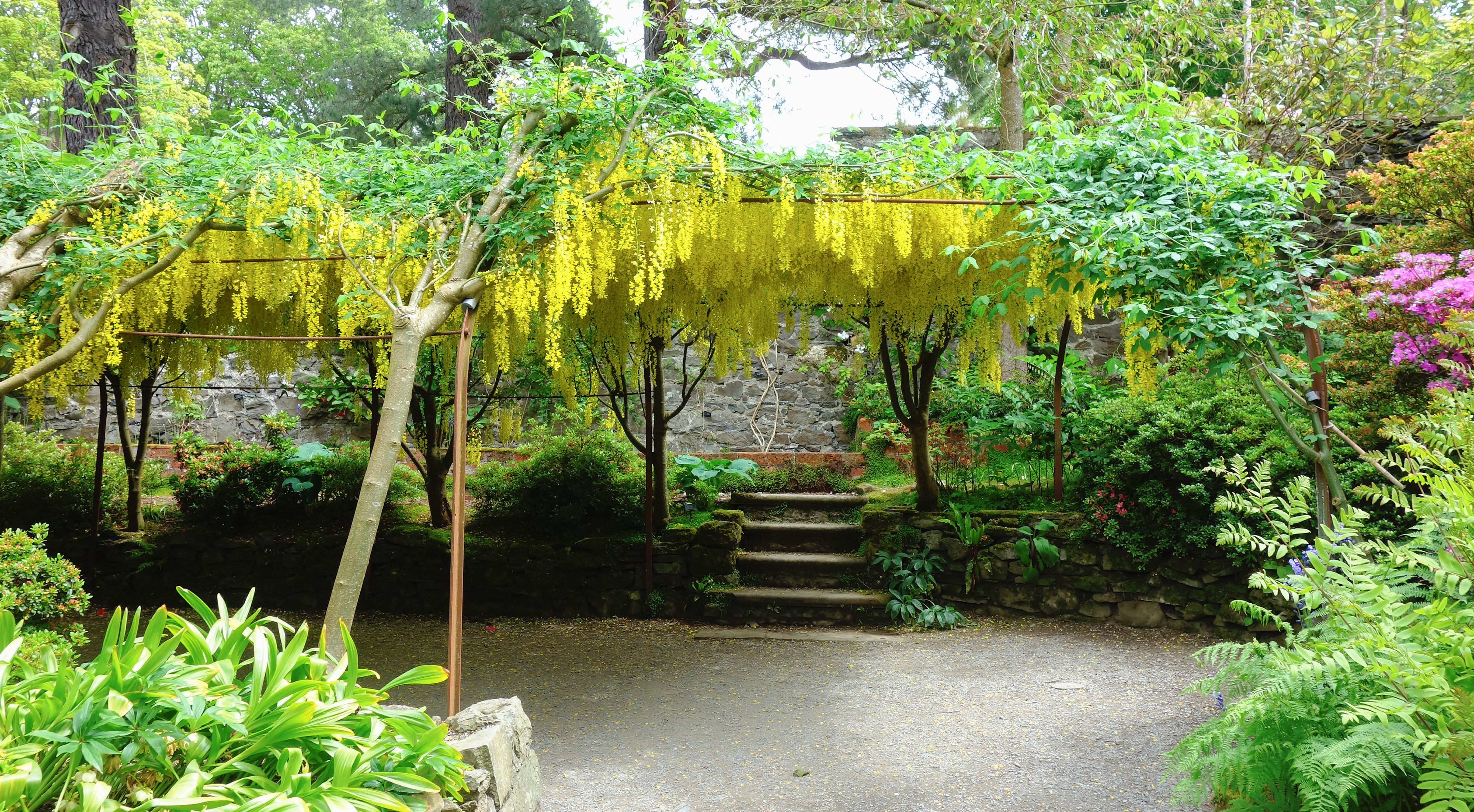 Bodnant Garden 