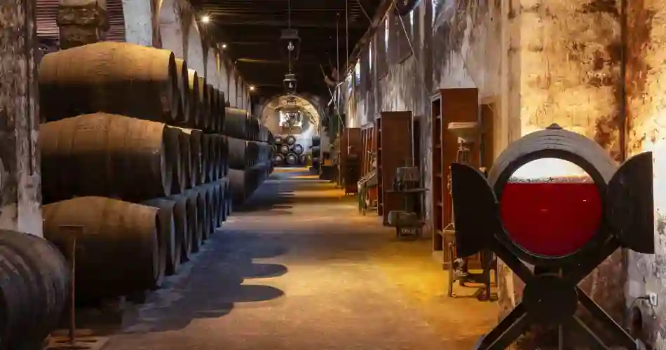 Osborne Bodega
