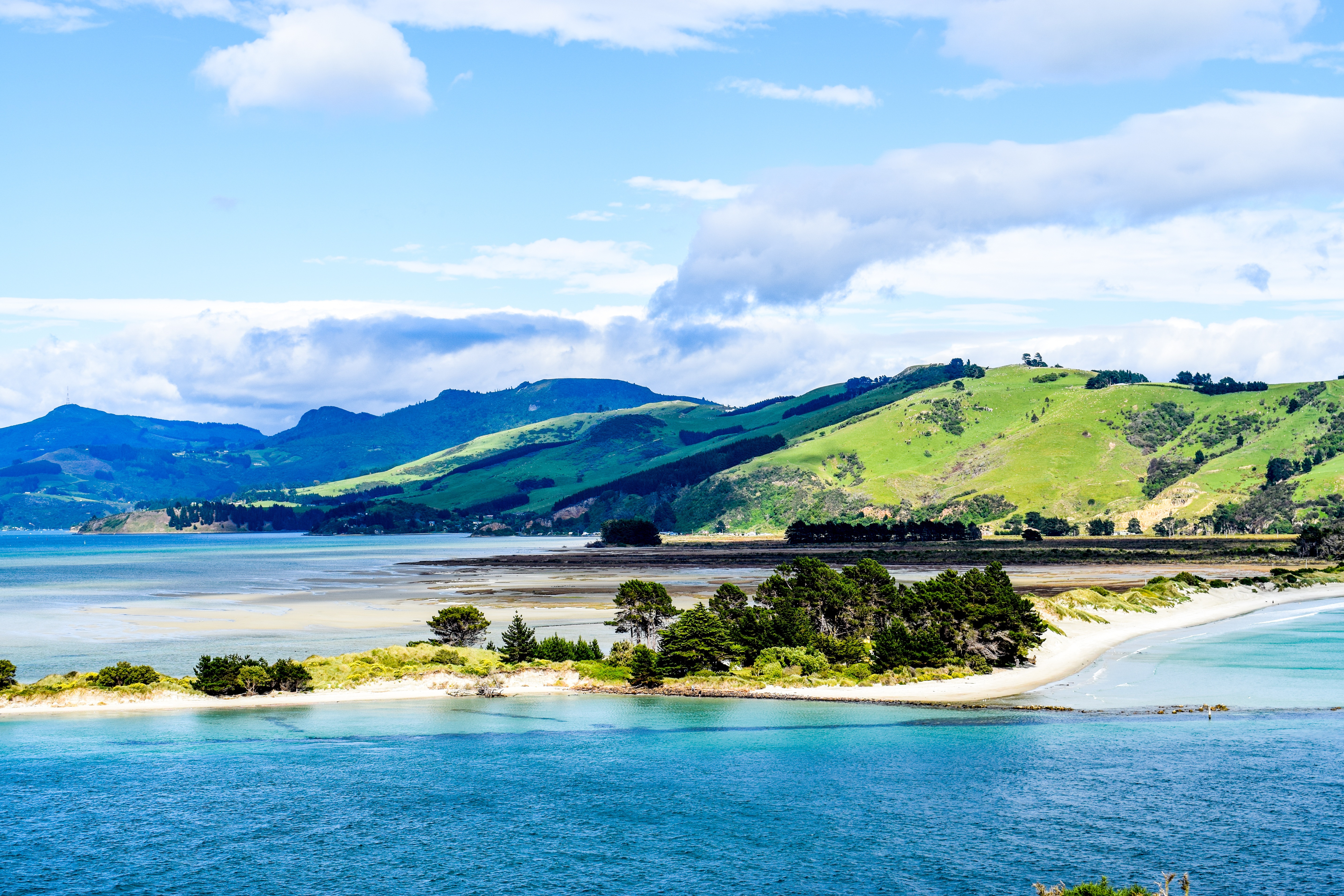 Otago peninsula