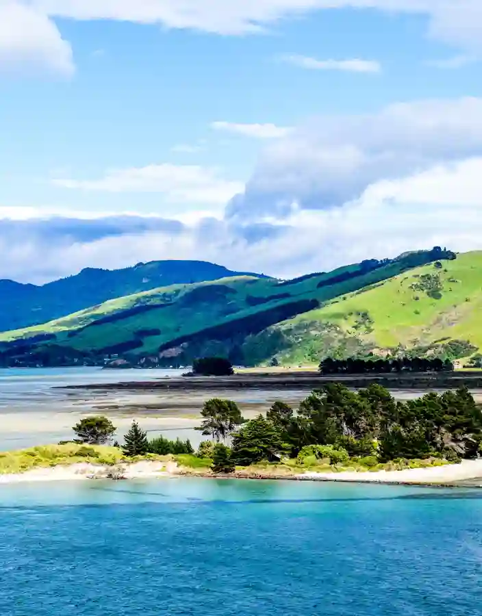 Otago peninsula
