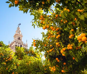 La Giralda i Sevilla