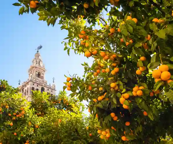 La Giralda i Sevilla