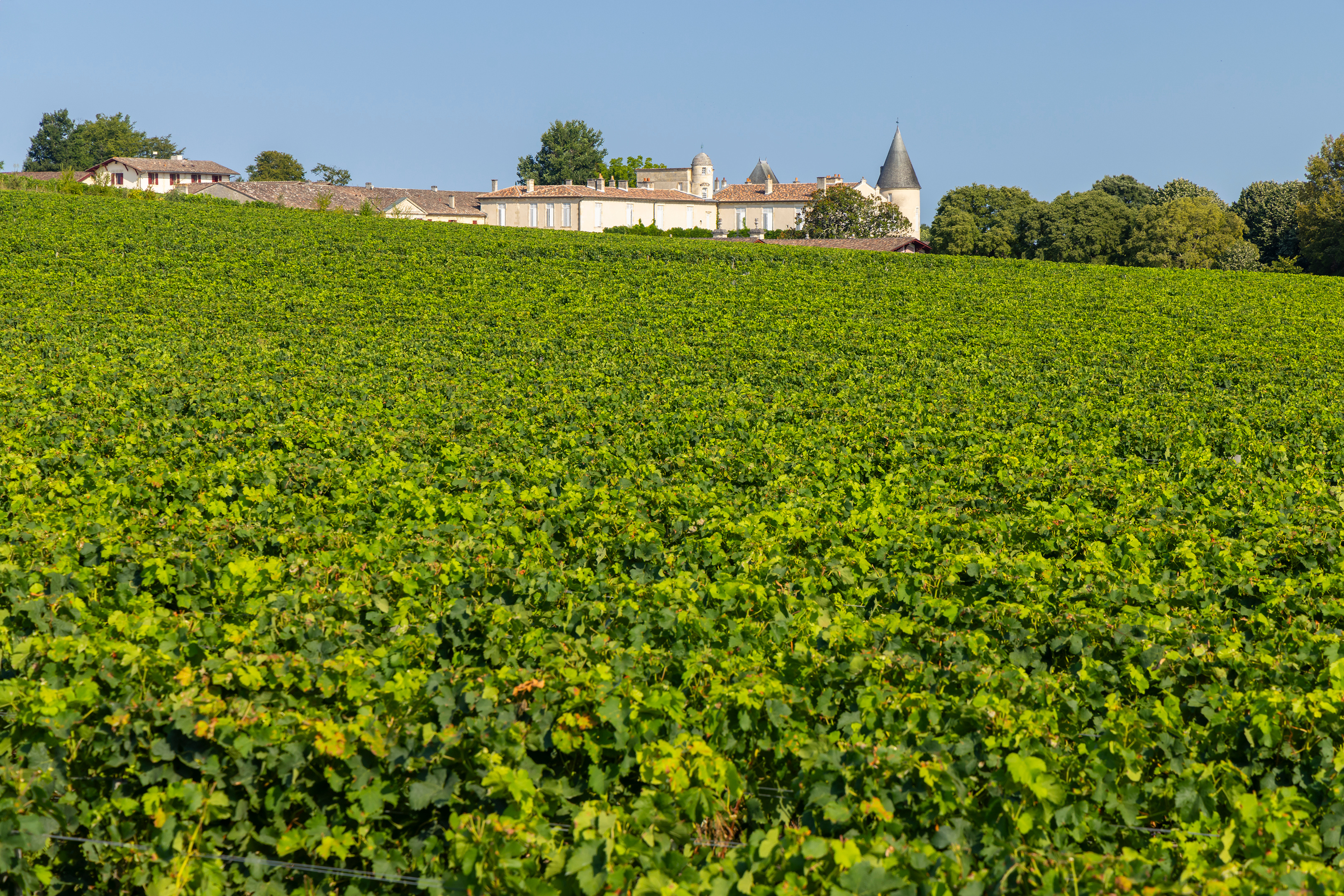 Chateau Lafite Rothschild