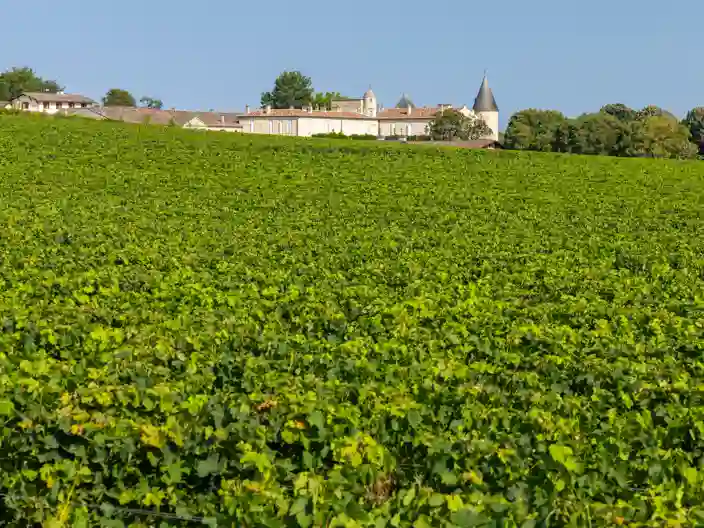 Chateau Lafite Rothschild