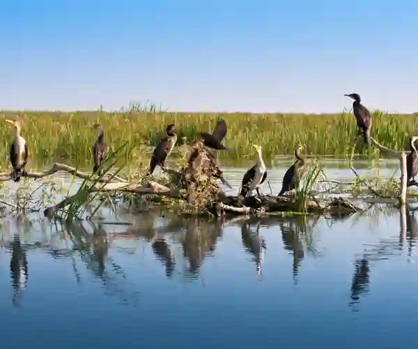 Donaudelta
