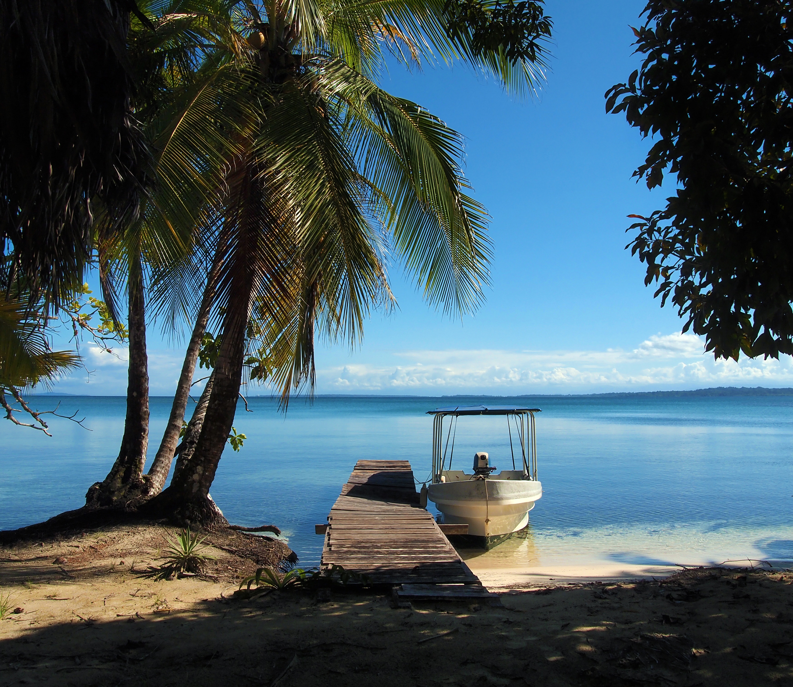 Båt vid lite brygga under palmerna i Bocas Del Toro