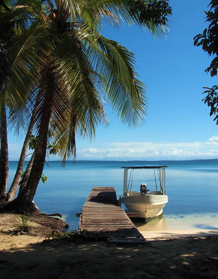 En liten båt ligger vid bryggan under en kokospalm i Bocas del Toro.