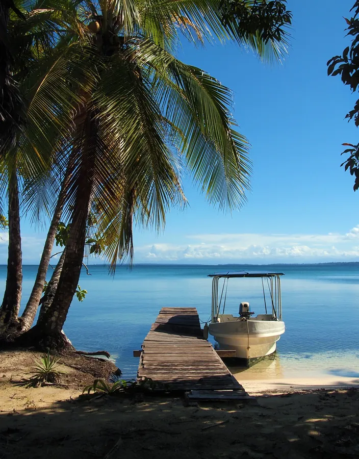 En liten båt ligger vid bryggan under en kokospalm i Bocas del Toro.