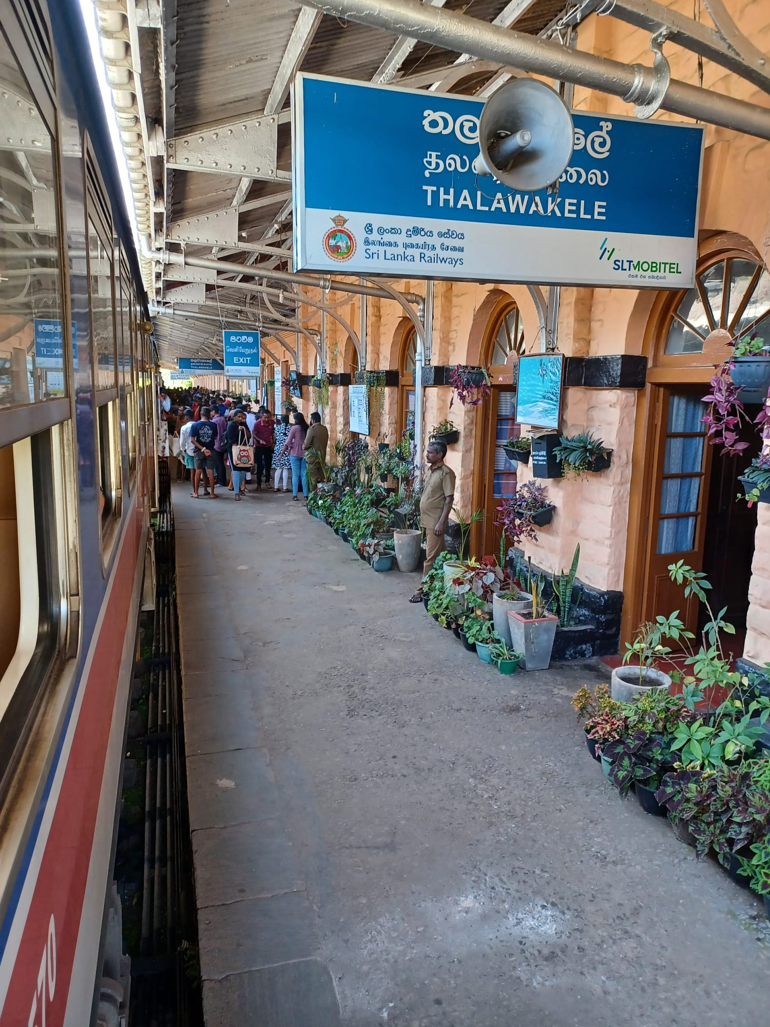 Banegård i Sri Lanka