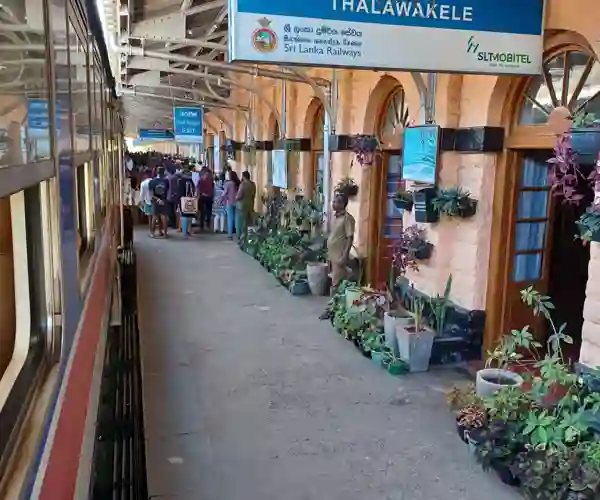 Banegård i Sri Lanka