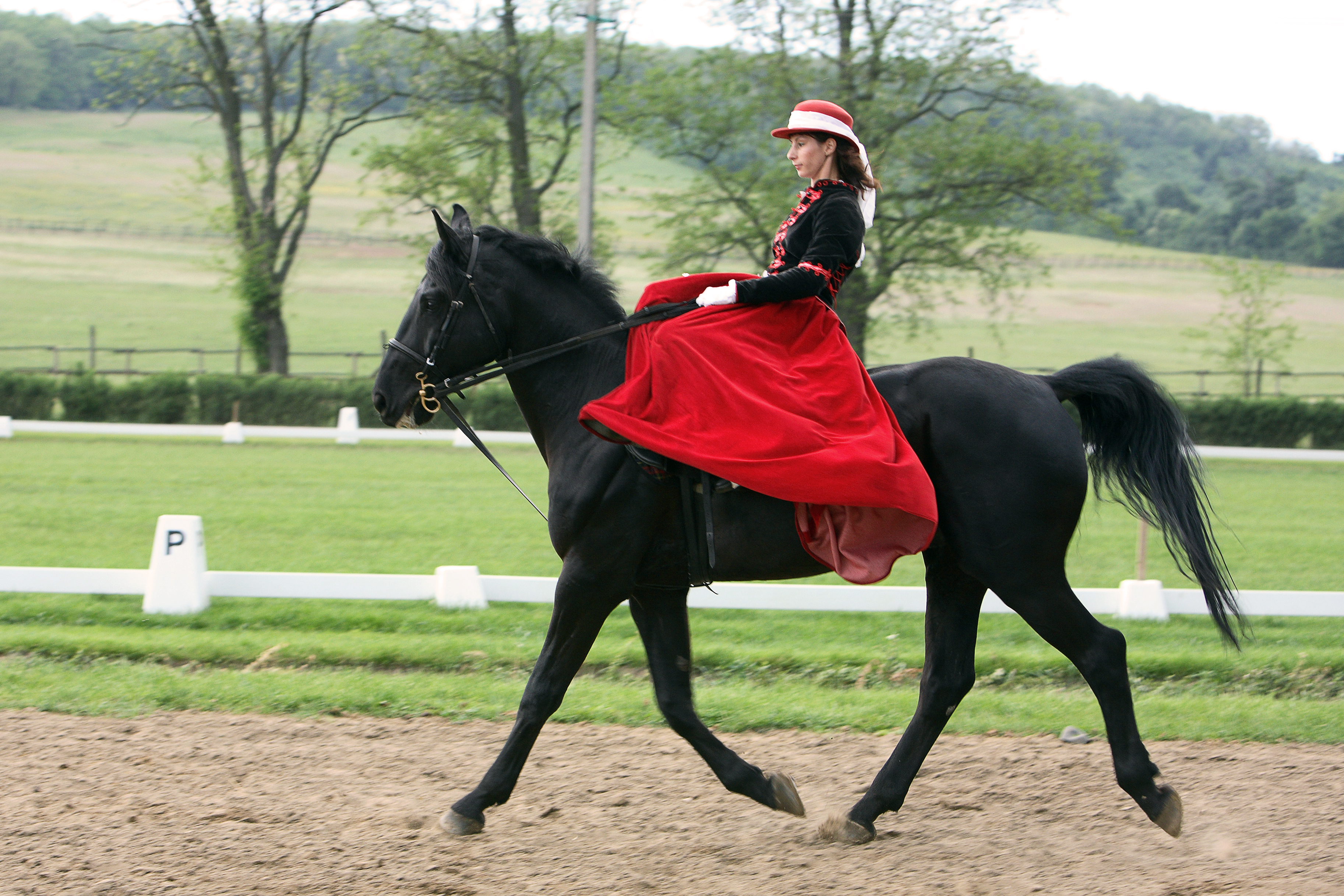 Puztaen - optræden af veltrænede ungarske heste og dristige ryttere.