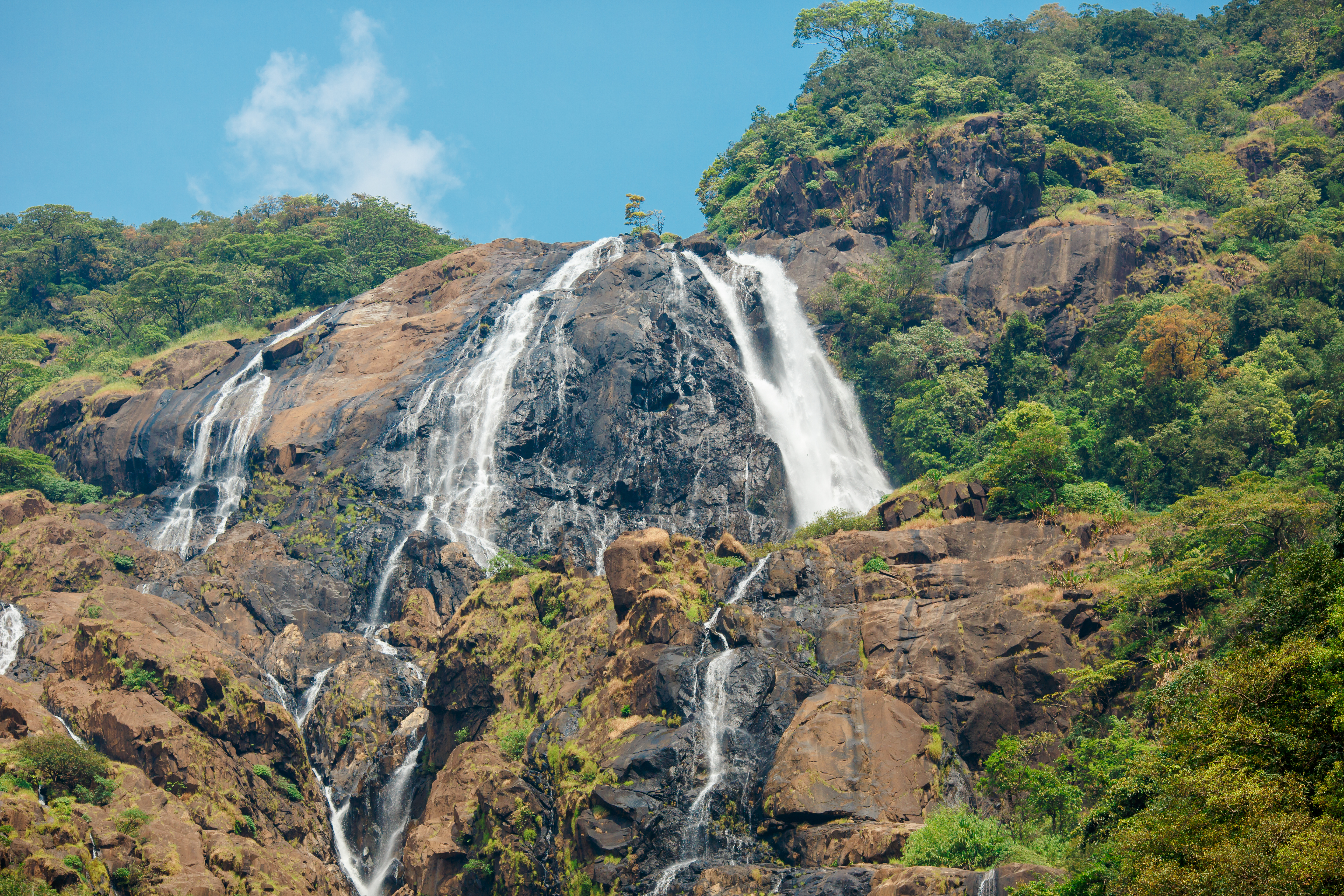 Dudhsagar foss i Goa