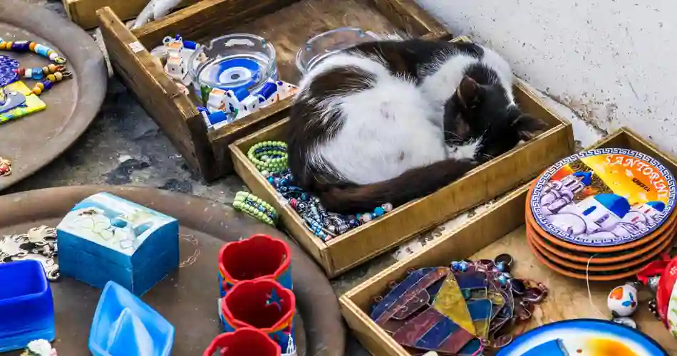 Lokale butikker i Grækenland