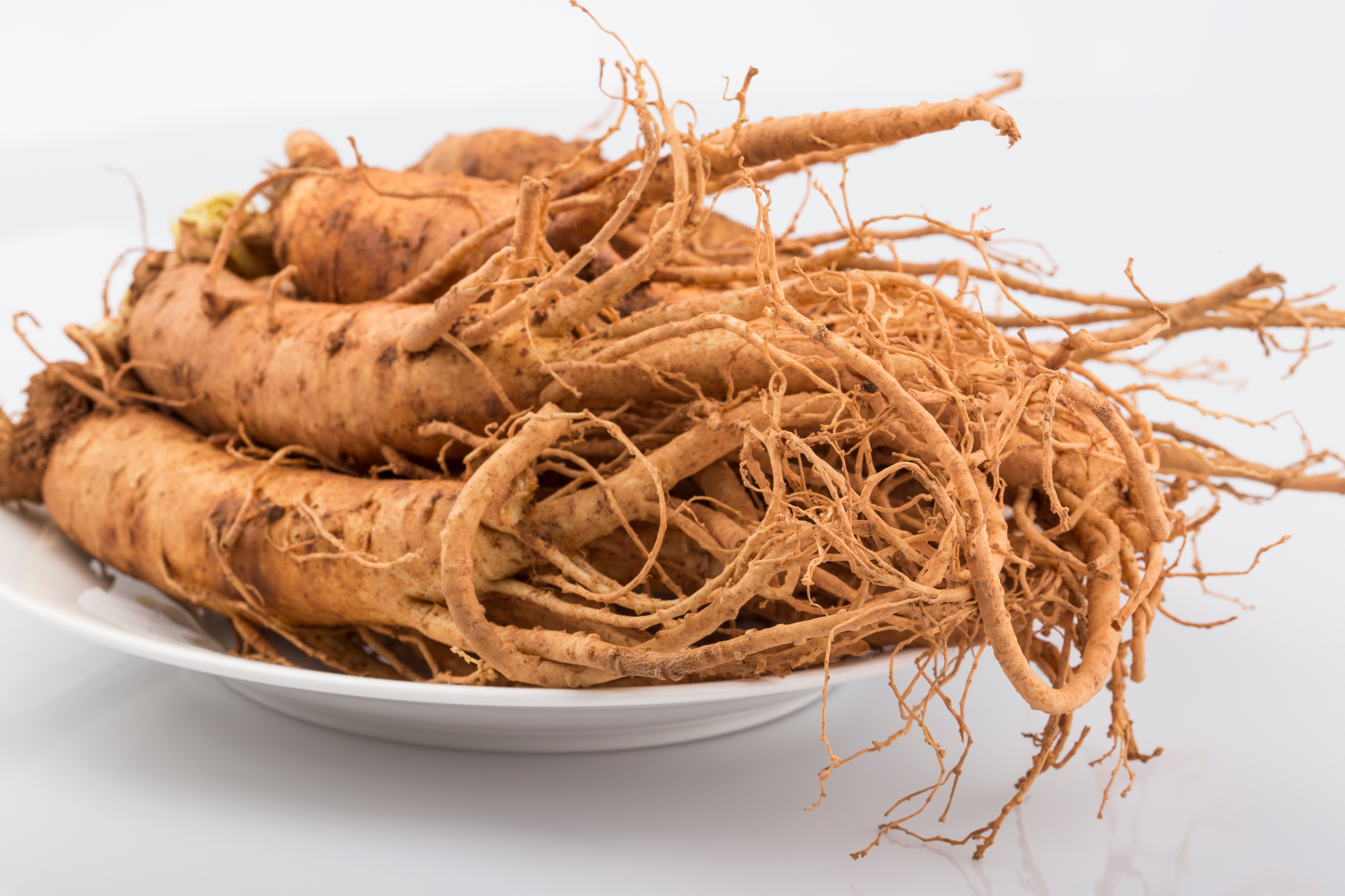 Ginseng