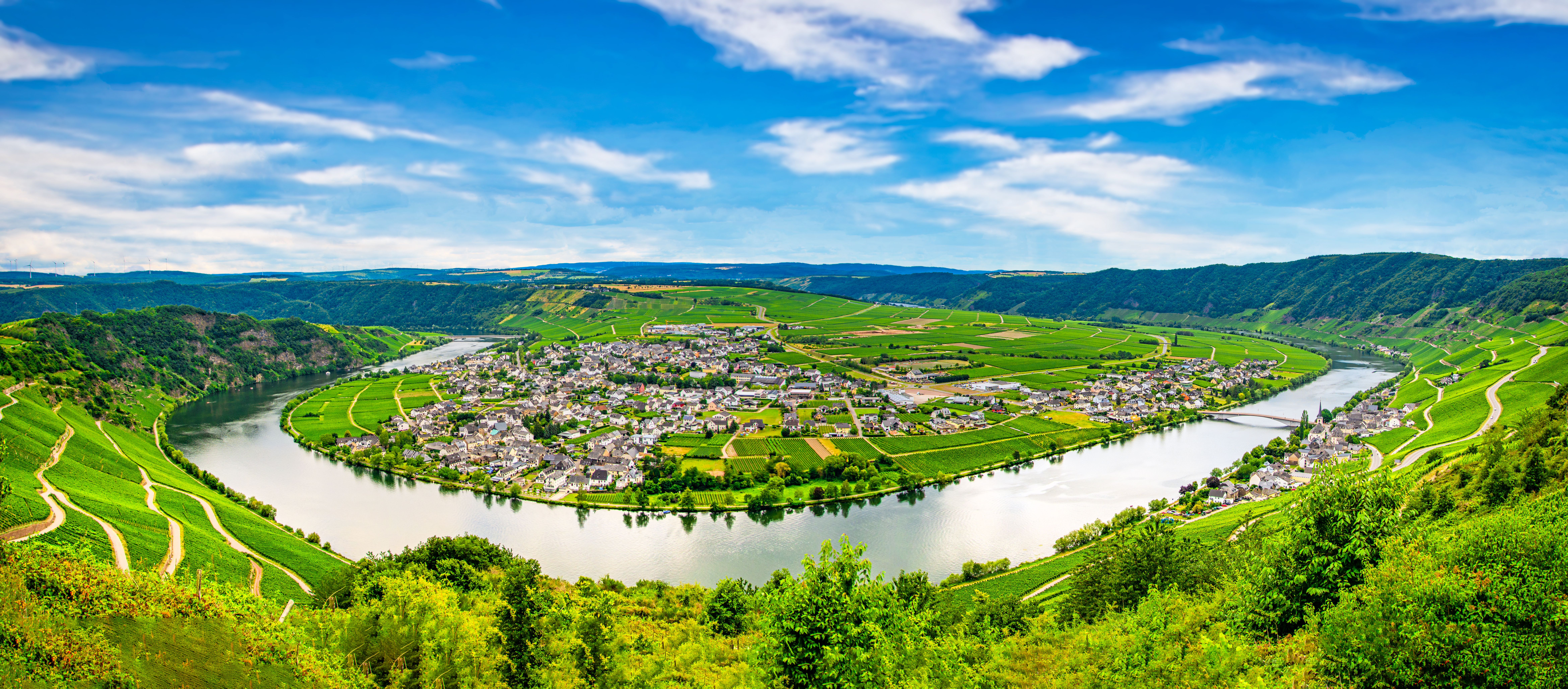 Piesport 