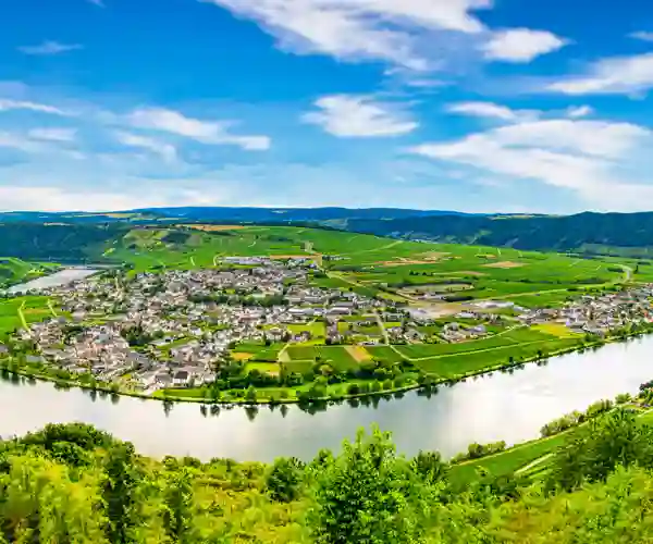 Piesport