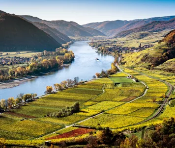 Wachau-dalen
