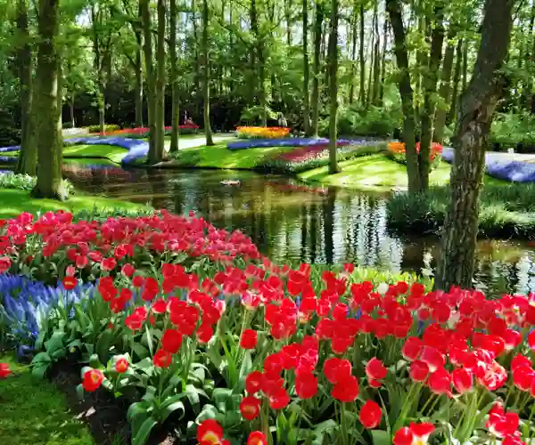 Keukenhof