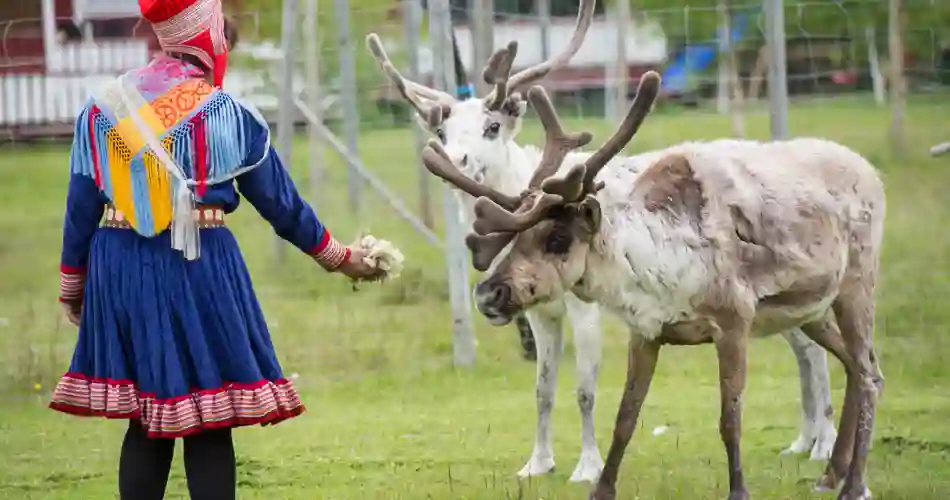 Tag med på et nordisk eventyr