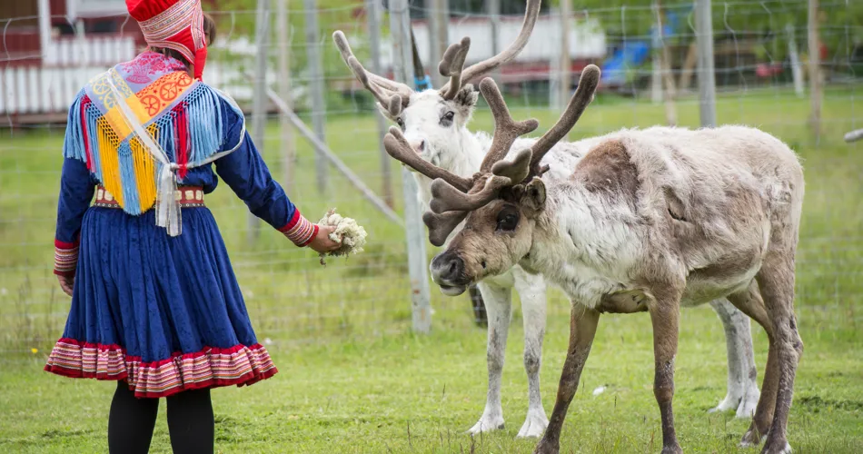 Tag med på et nordisk eventyr