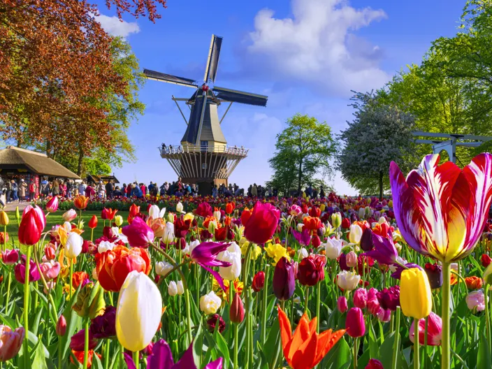 Keukenhof