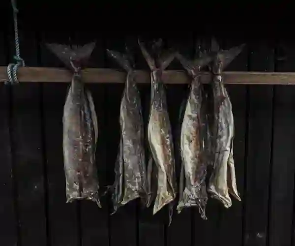 Tørret fisk