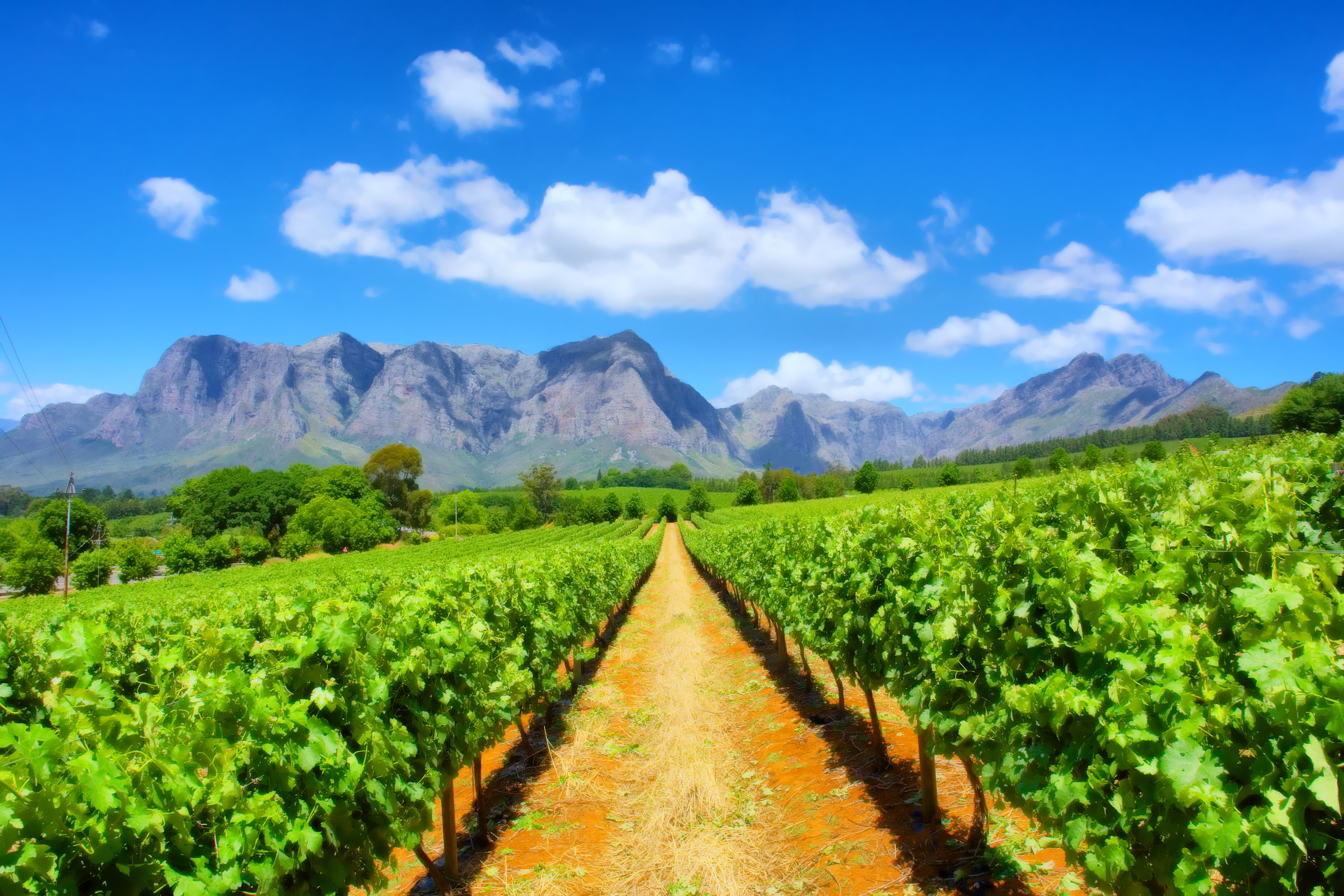 Winelands