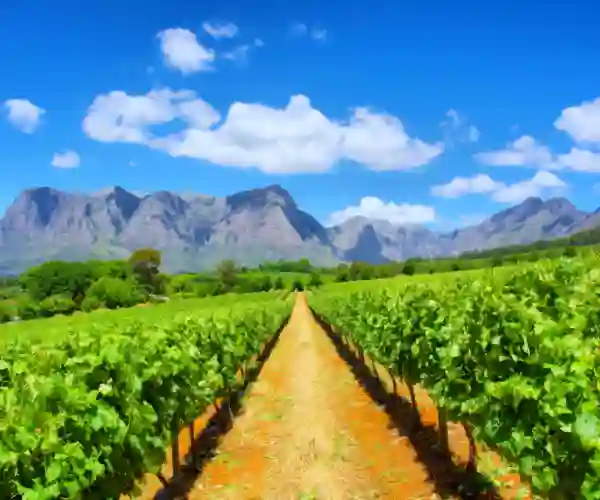 Winelands